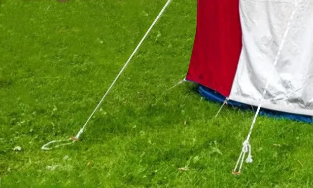 Tent Stakes 9